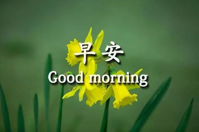 真人版美女早上好问候祝福语短信微信漂亮的美女早安祝福动态表情图片