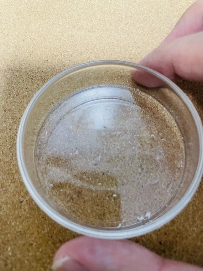 我特地做了净化病毒细菌测试 :把一个细菌培养皿放在空调进风口3个