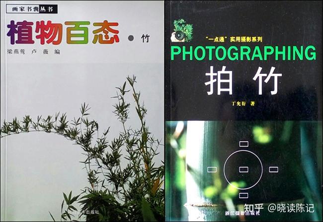 我的一堆竹子书 - 知乎