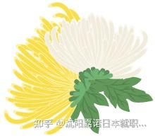 涨知识 浴衣上的花纹都有什么不同寓意 知乎