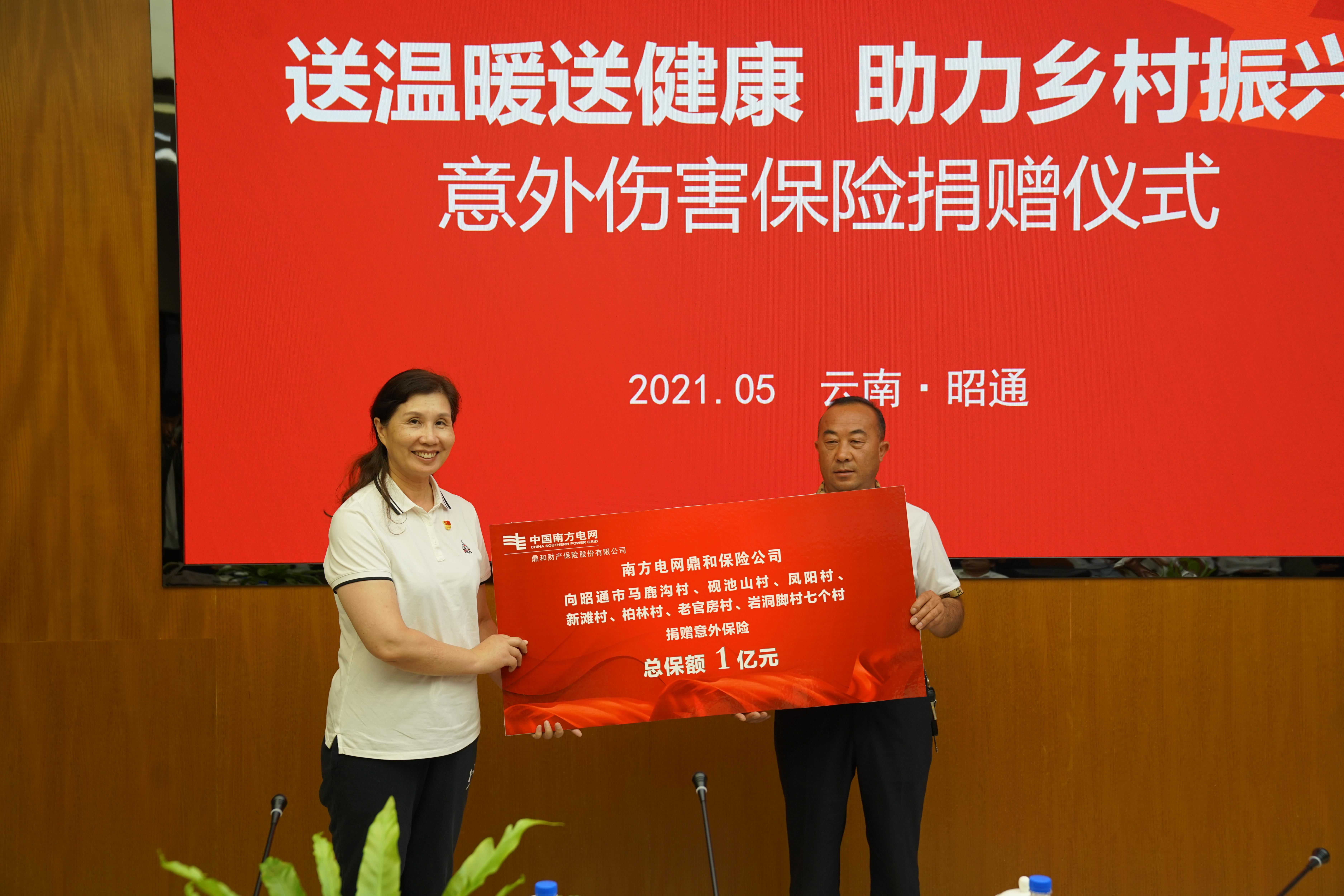 鼎和保险公司捐赠亿元保险保障助力乡村振兴