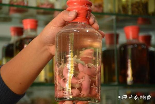 这些令人毛骨悚然的动物泡酒你看过吗 这酒真有功效 知乎