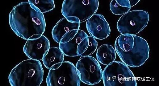 暖生仪健康科普细胞健康身体健康细胞健康三要素要记牢