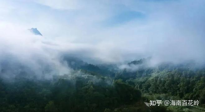 为什么海南岛能吸引众多“候鸟人群”来此避寒？ - 知乎
