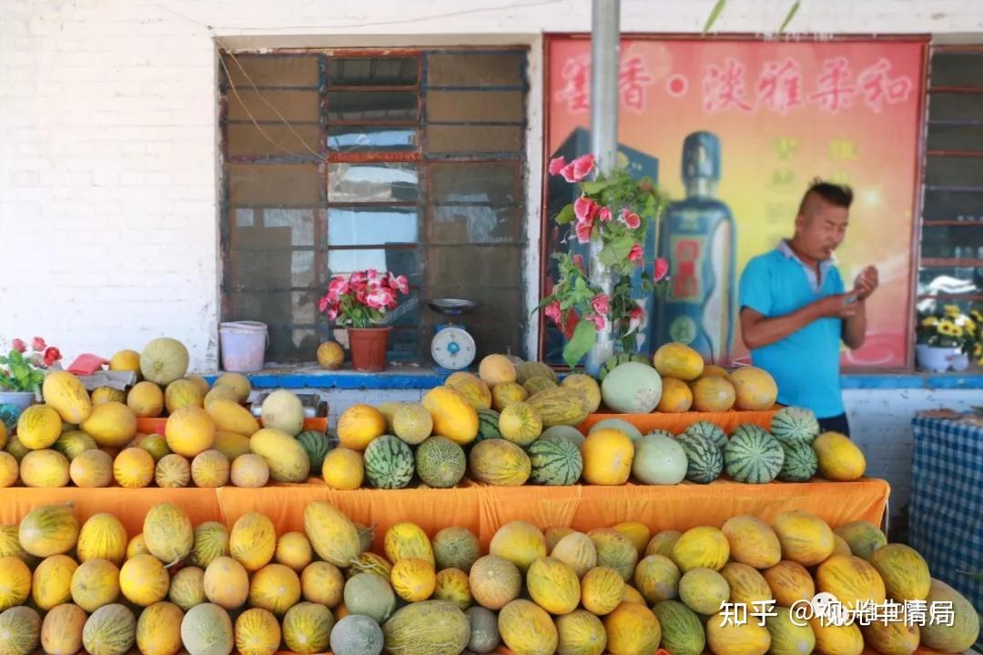 他们的故事瓜州县瓜哥