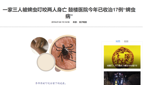 困扰人类的莱姆病为什么狗狗也会有