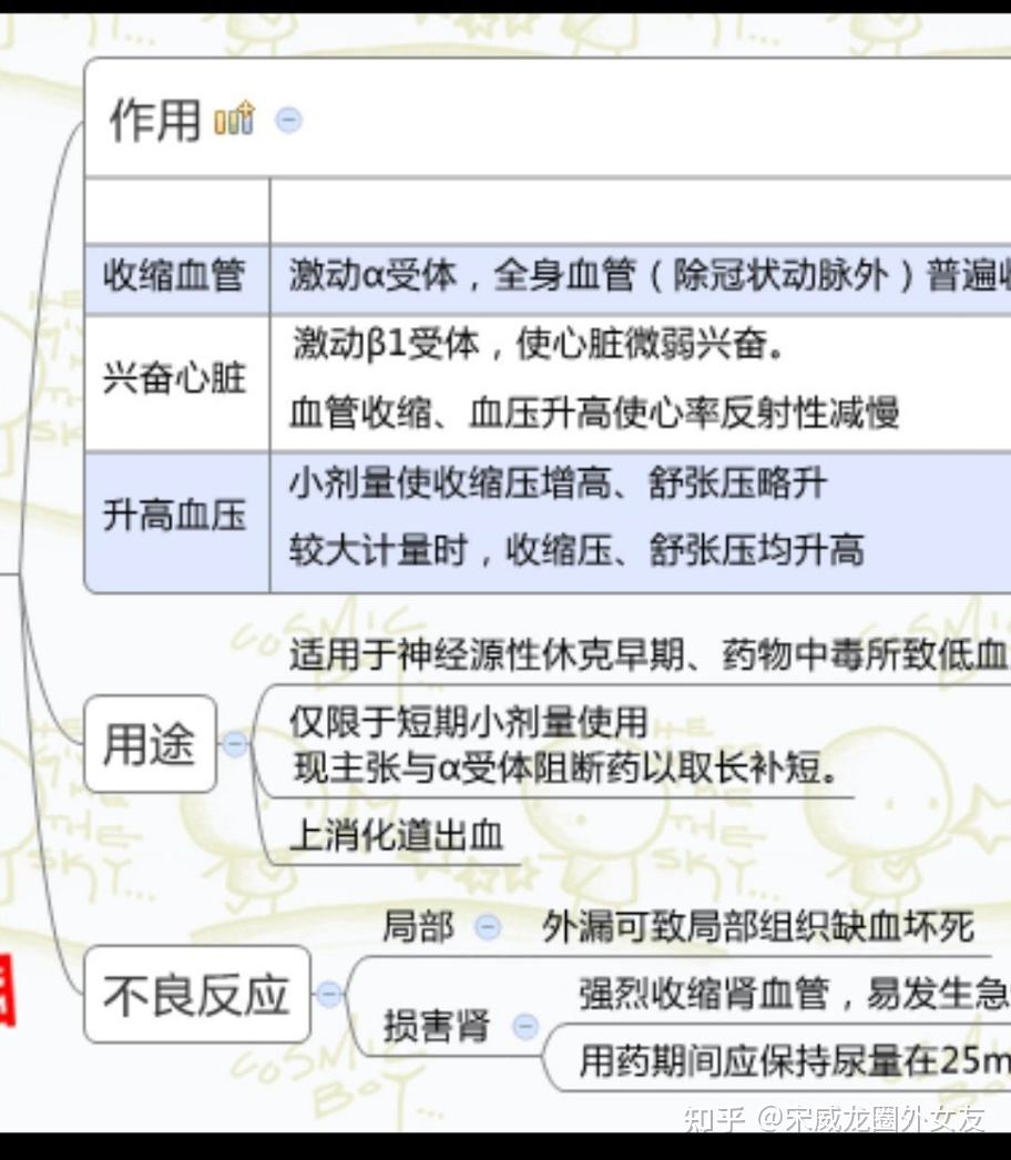 九版藥理學思維導圖pdf分享