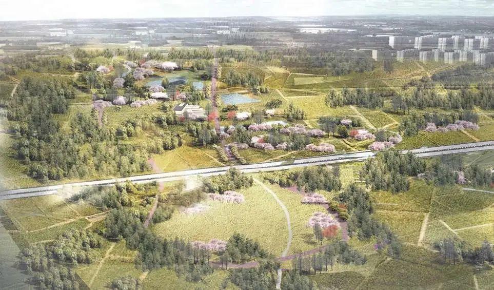 羊西线改造工程开工全线取消红绿灯