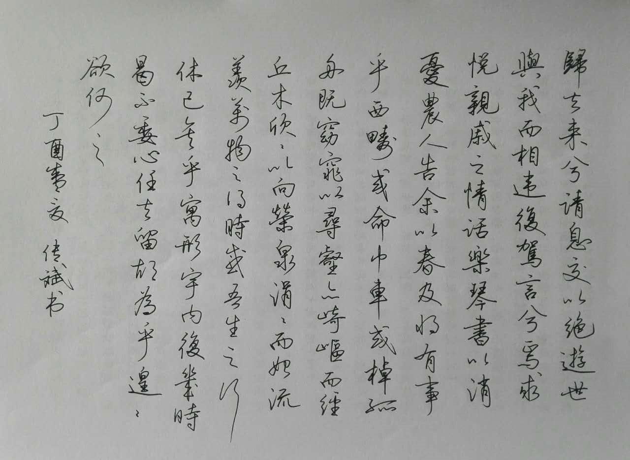 陶渊明归去来兮辞手写钢笔字笔友钢笔书法习作欣赏