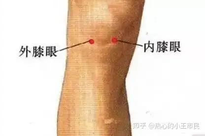 倪海厦《针灸》笔记3-2:足阳明胃经下 - 知乎
