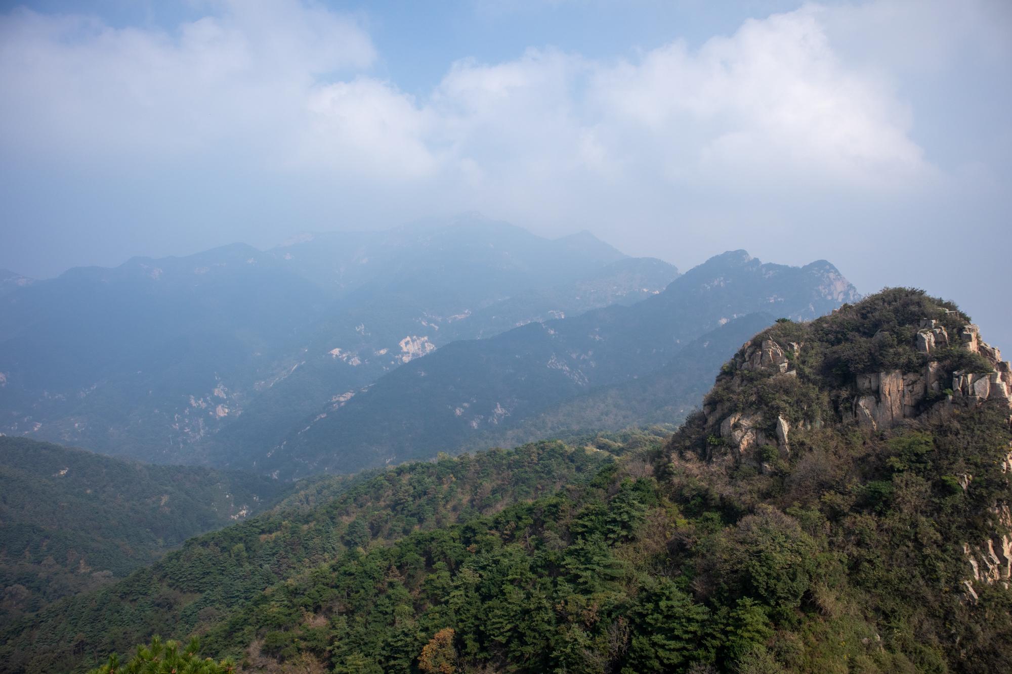 2021大泰山心之所向姜美人情之所至