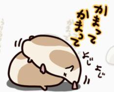 v2-4c1f8d897a2eb3a42043e798993dff6a_b.jpg