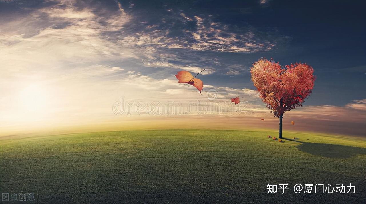 什么是心，用的是什么心？ - 知乎