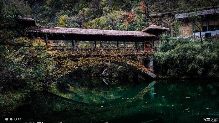 一人一唐,自驾洛南金丝峡,瞰五彩斑斓深秋神瀑峡沟