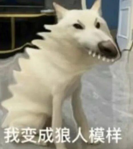 表情包|不是?哥们 - 知乎