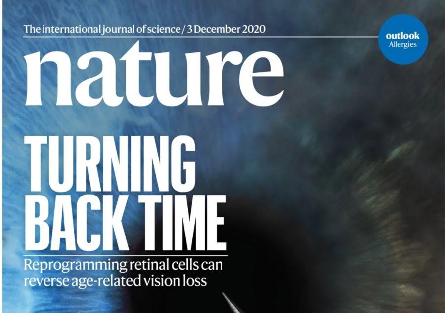 的华人大弟子吕垣澄,在顶级期刊《nature》上发表论文《reprogramming