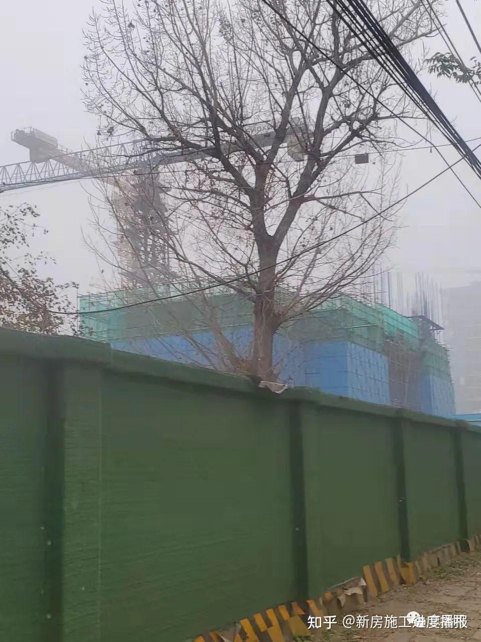 京居网踩盘锦里雅苑首开锦鲤11月最新施工进度播报