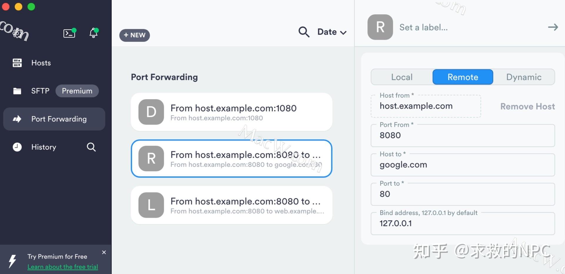 Ssh termius port forwarding 
