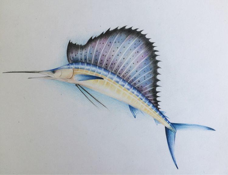 成人美术海明威老人与海中的旗鱼怎么画彩铅手绘教程