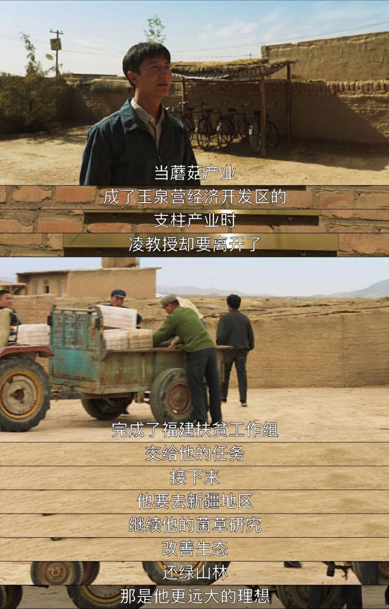 电视剧山海情台词篇