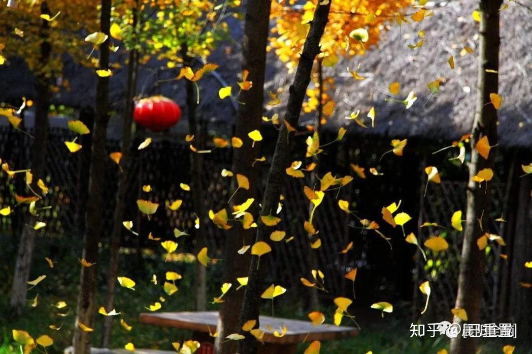 今天再努力也扫不完明天的落叶