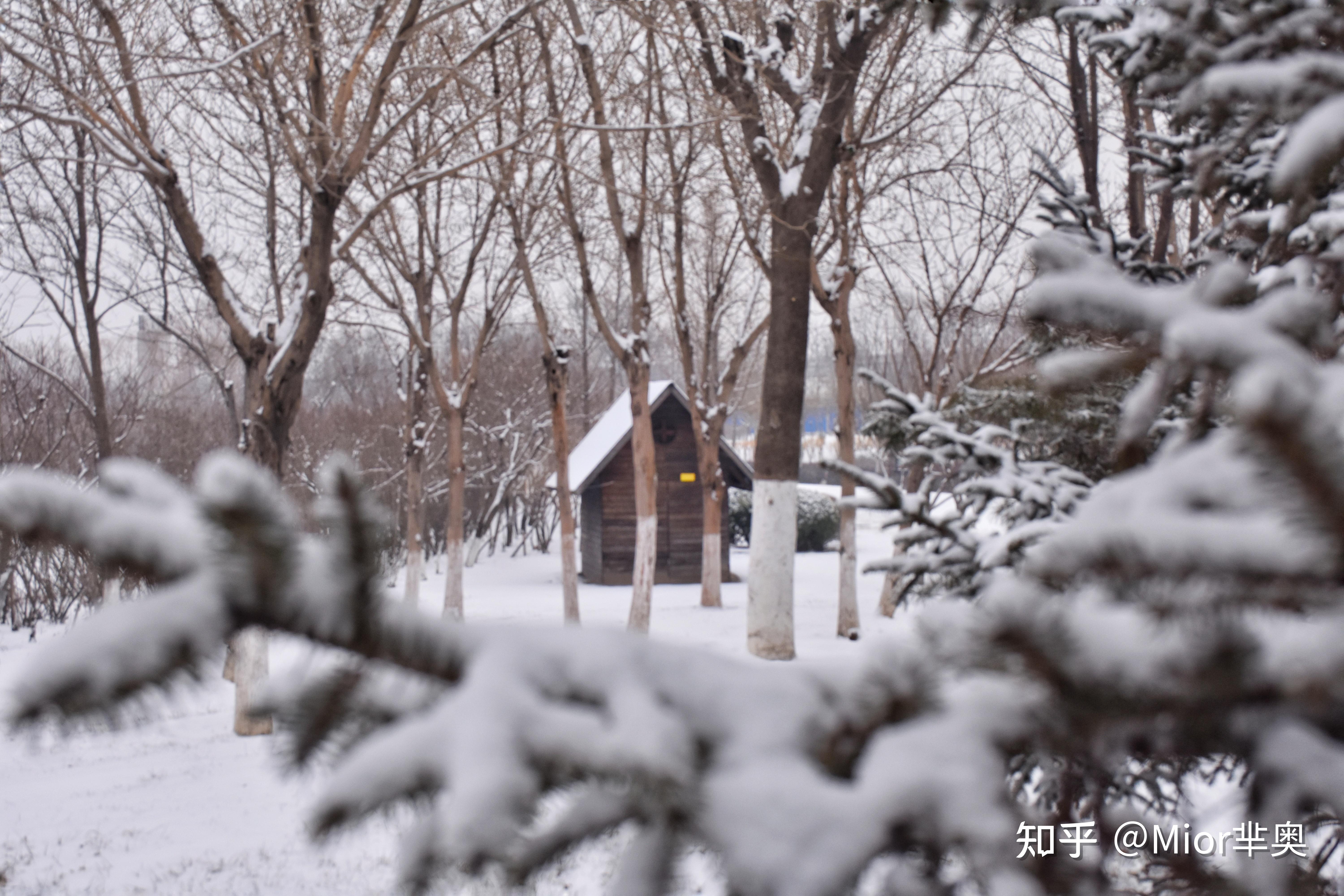 2022年的第一场雪 雪景摄影&后期攻略来咯