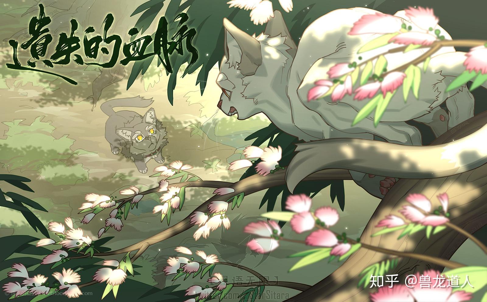第五章 中国兽圈的文化发展 - 知乎