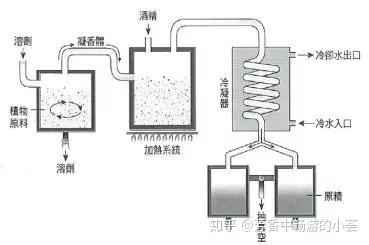 精油 原精萃取方法 知乎