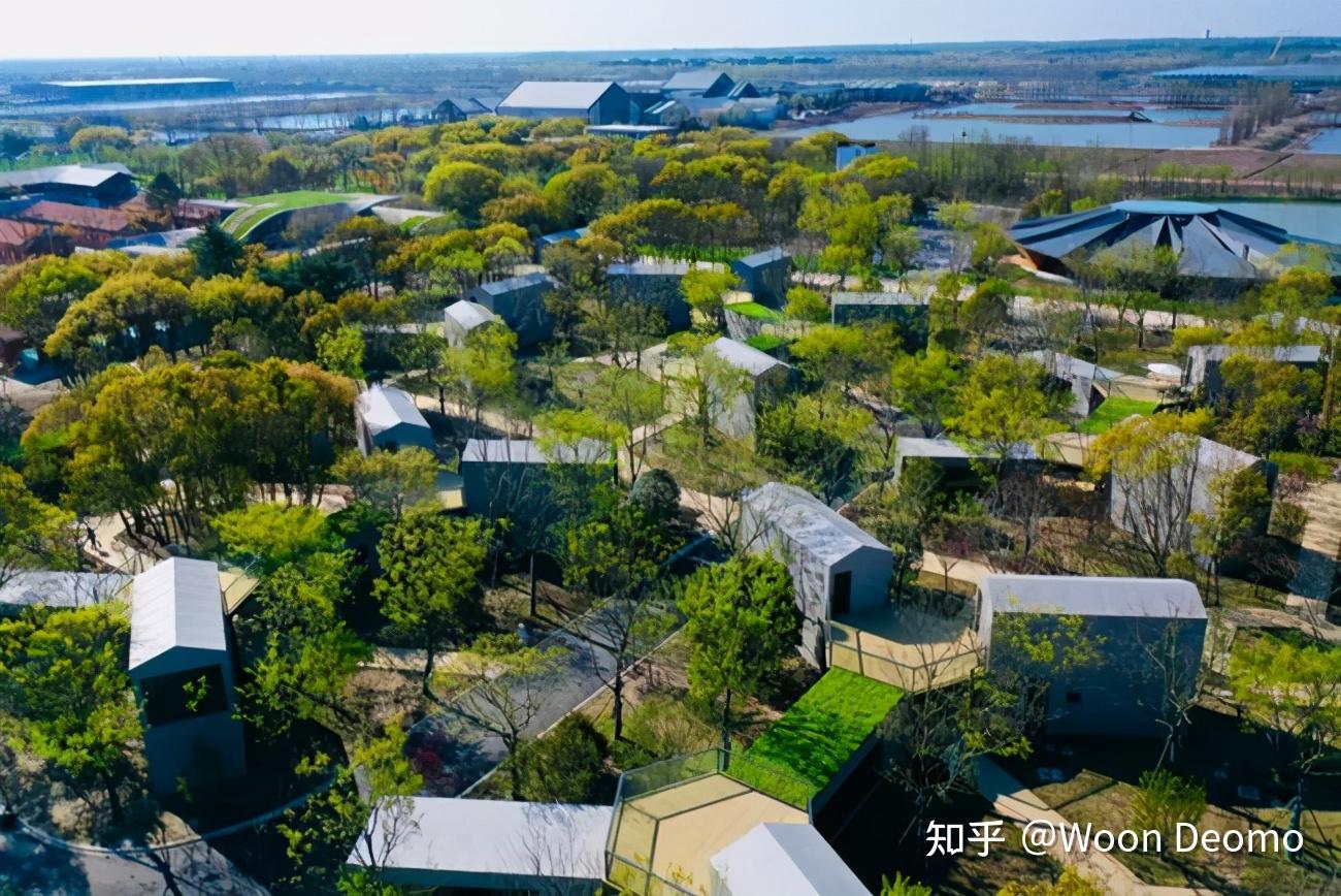 崇明这个花博小镇不容错过的