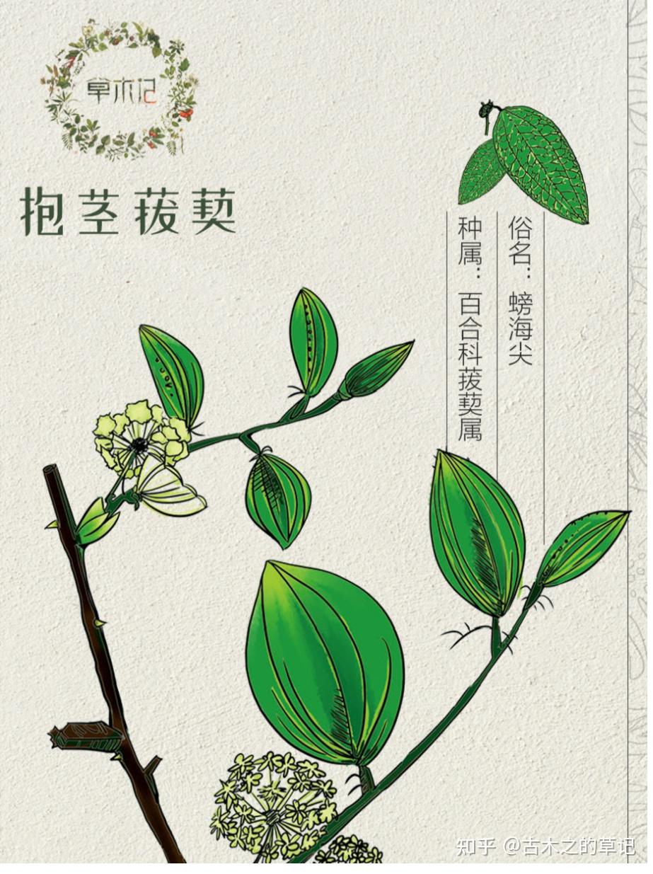 浅析宋代的“鸟兽草木之学” - 知乎