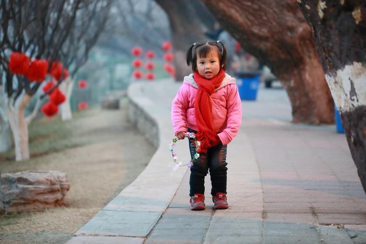 今年春节高速从几号开始免费1