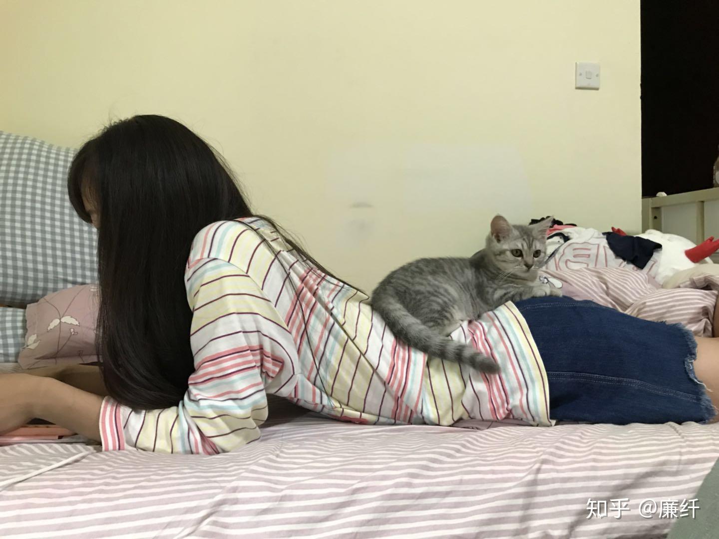 在大学宿舍养猫是一种什么样的体验?