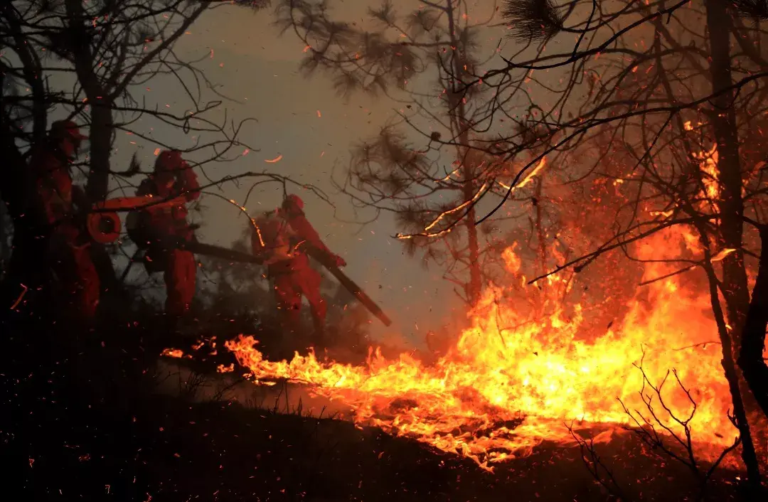 四川森林大火是我奔赴的第125个山火现场