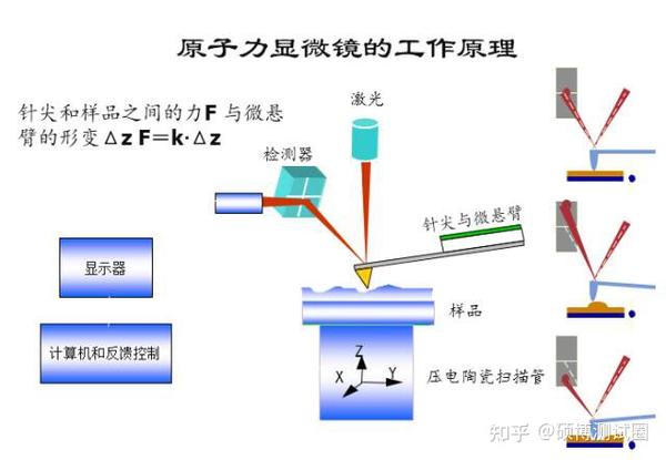 读懂AFM原理、测试及应用 - 知乎