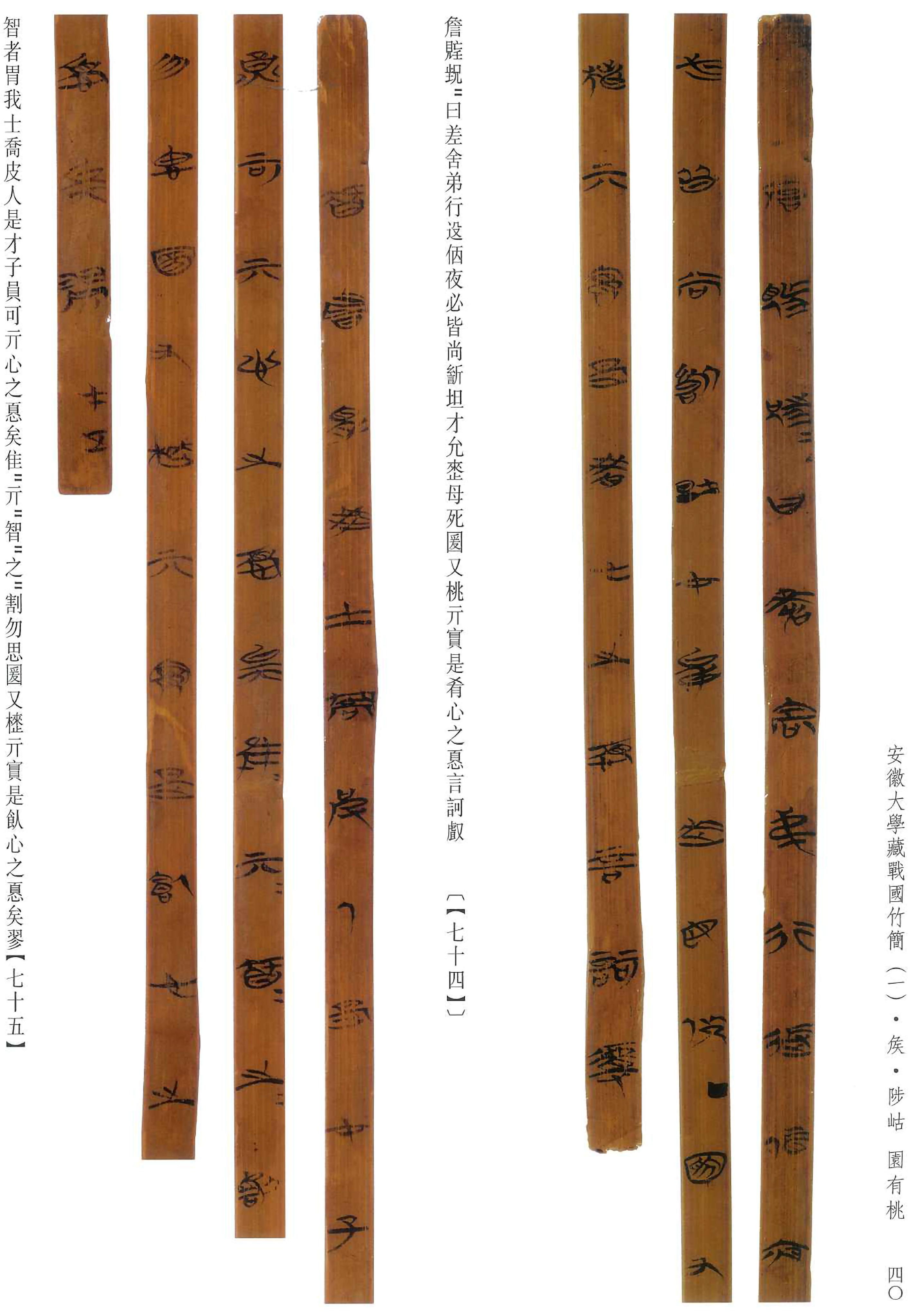 安大简诗经64国风64矦园有桃