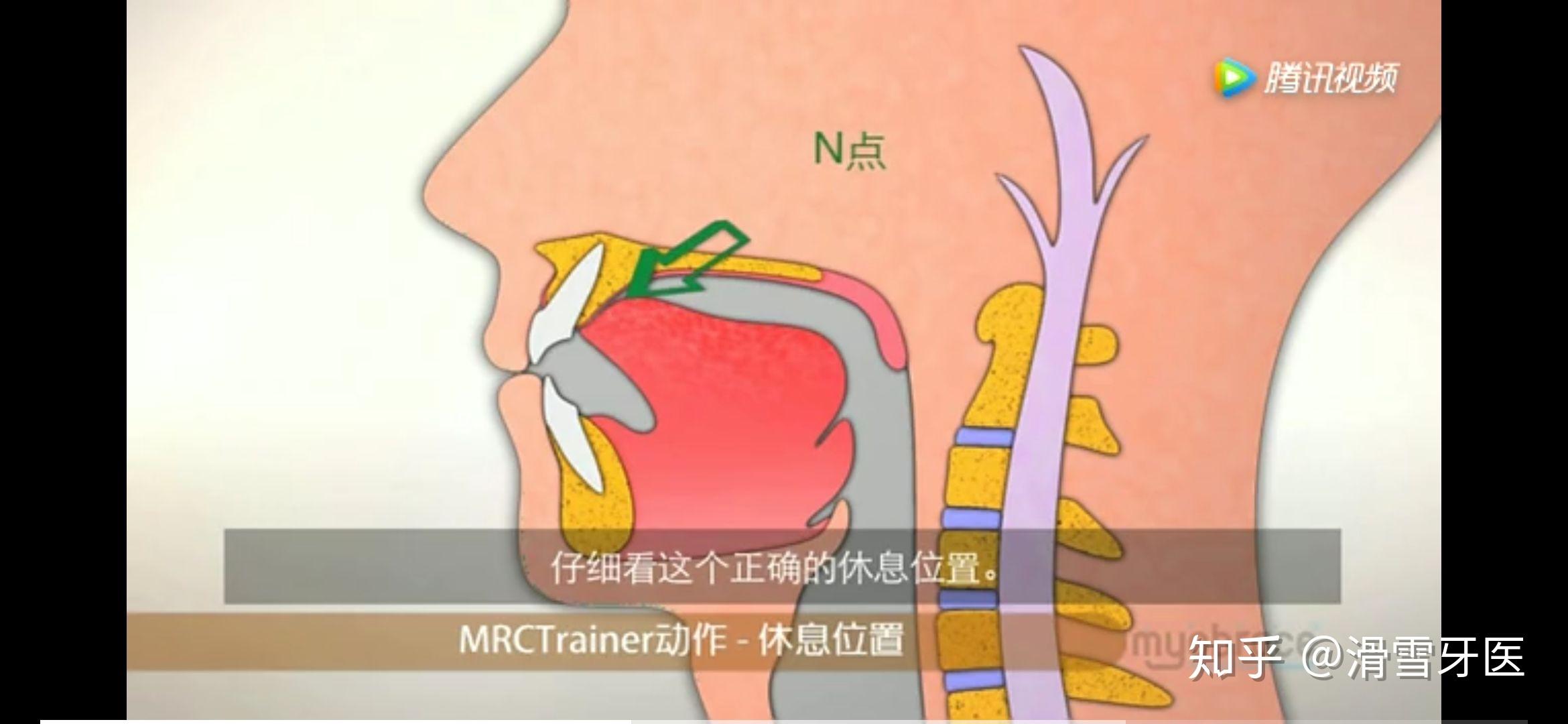 你们平时舌头是怎么放在嘴里的? - 知乎