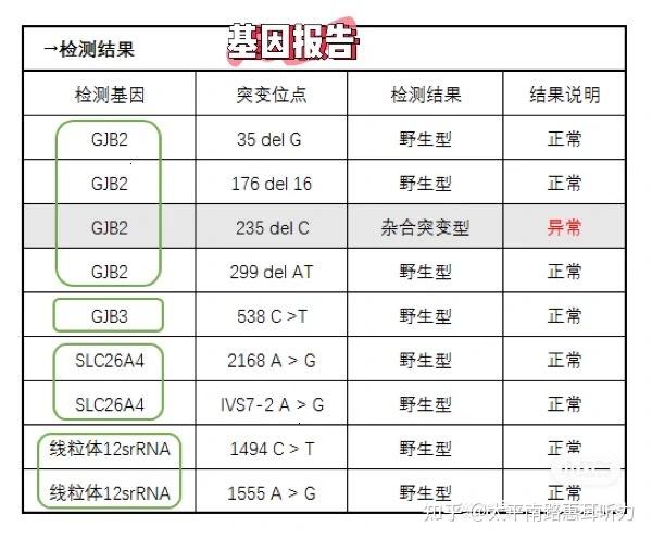 基因检测报告解读图片