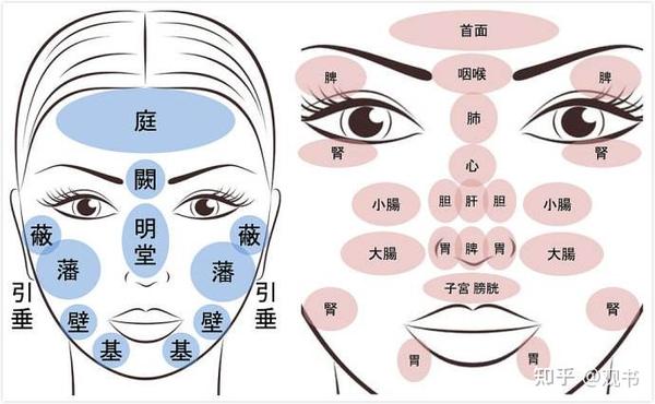 学习笔记:中医诊断之望闻问切(一)望诊 - 知乎
