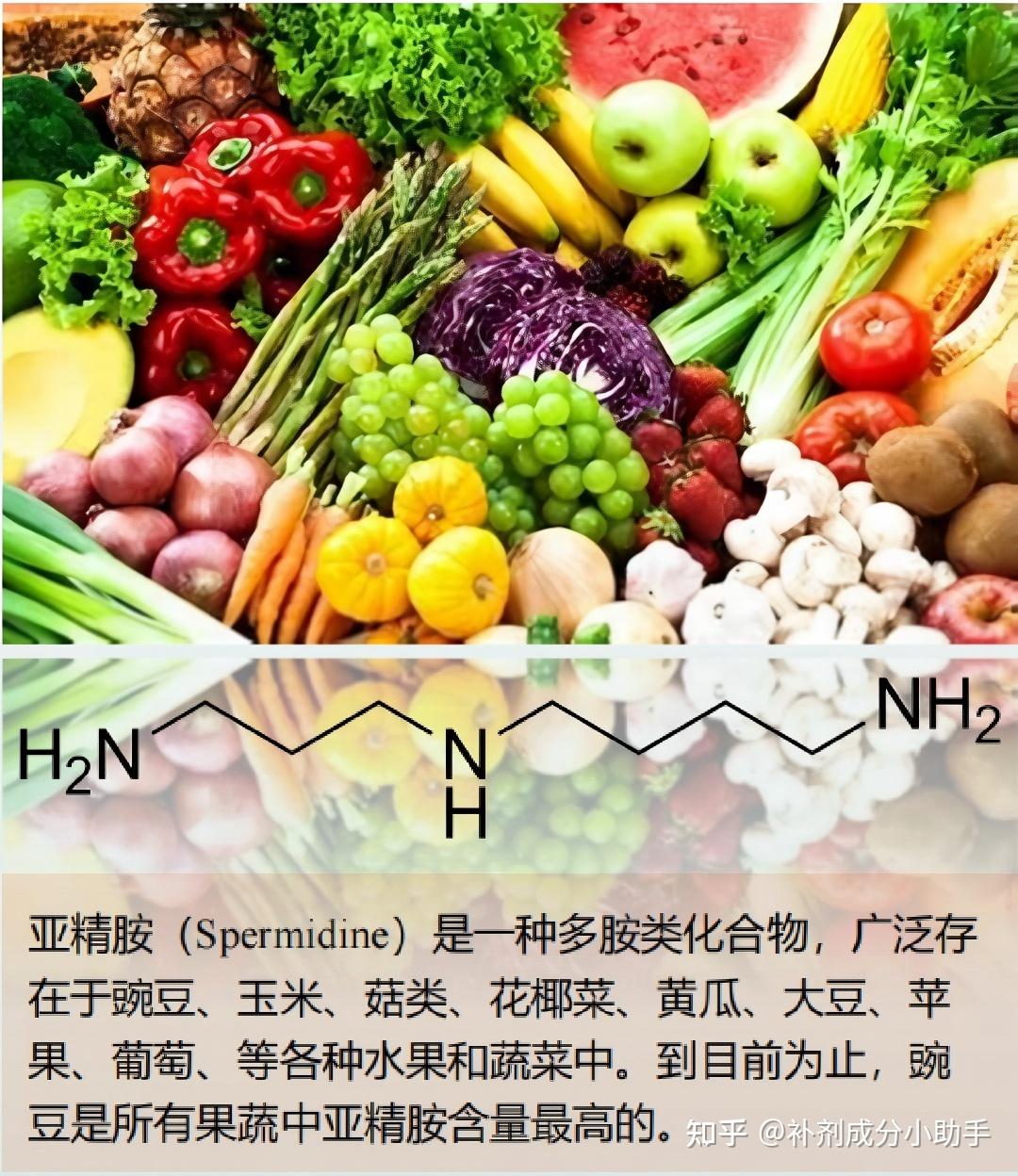 亚精胺的真相与谎言：一半是诺奖级的抗衰科学，一半是夸大的营销神话？ - 知乎