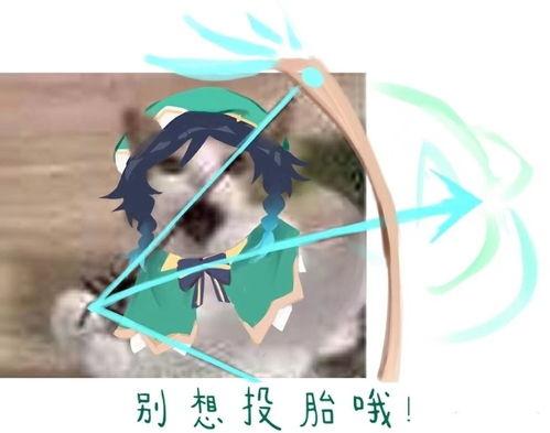 求原神温迪表情包