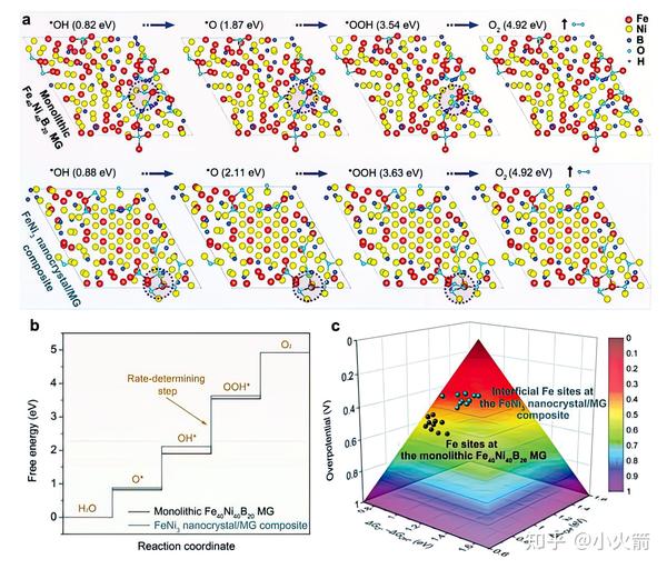 Fe-Ni-B金属玻璃催化OER（界面处台阶结构，OER过电位214 MV） - 知乎