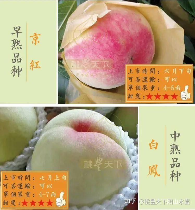 无锡太湖阳山水蜜桃品种介绍哪个品种最好吃什么时候几