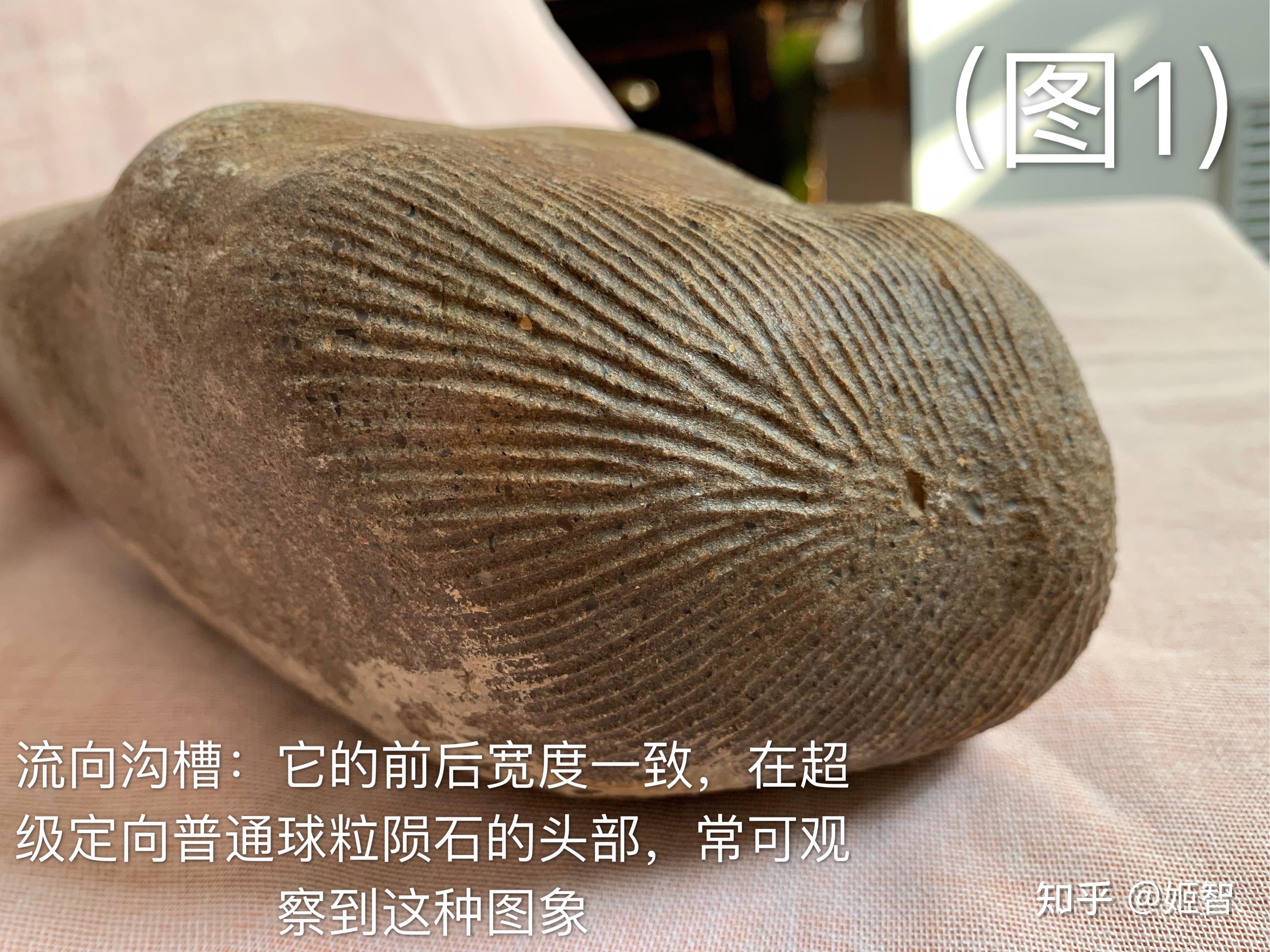 各种珍稀定向陨石简介 - 知乎
