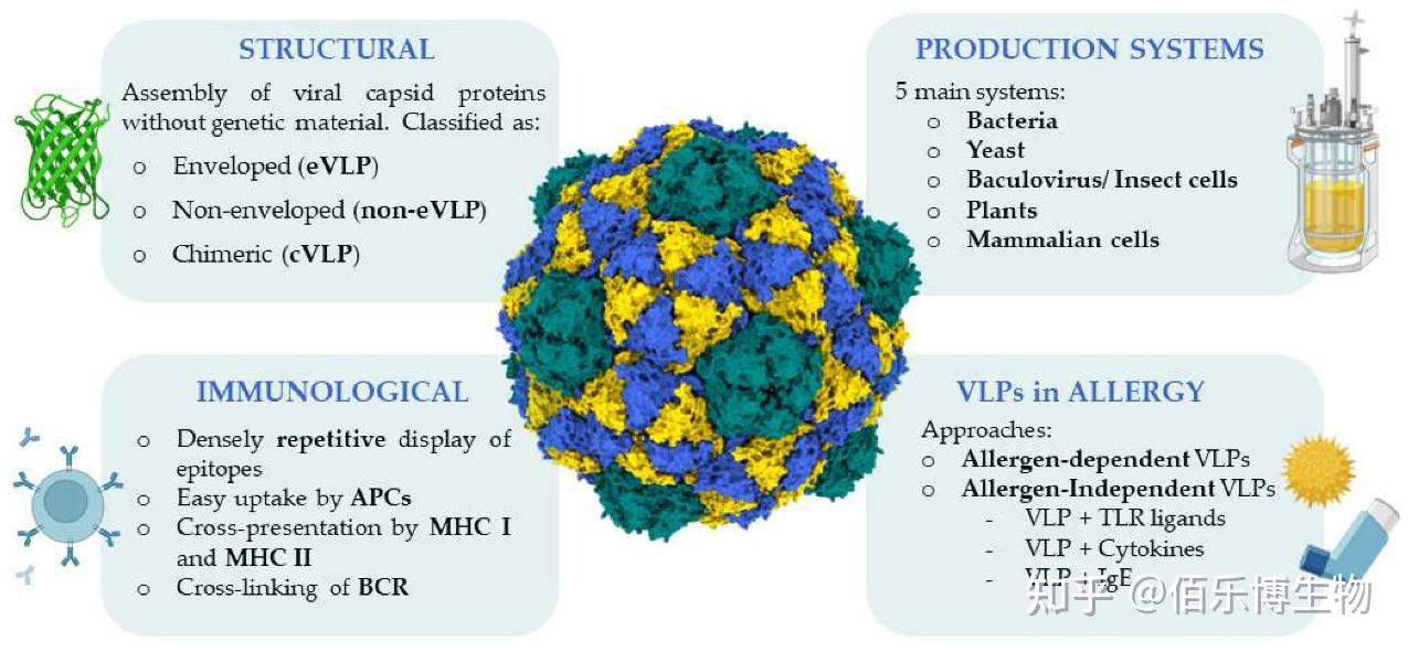 病毒样颗粒（Virus-Like Particles, VLPs) ：解锁多次跨膜蛋白的天然构象 - 知乎