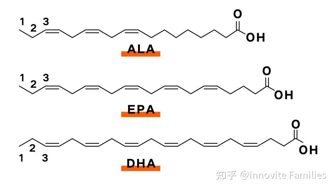 这种脂肪保护心血管还能让你变聪明omega3深度解析