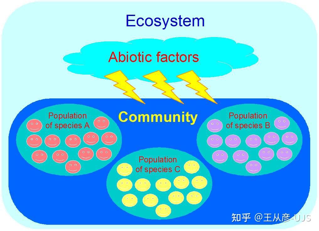 生态系统之结构及其调节 - 知乎