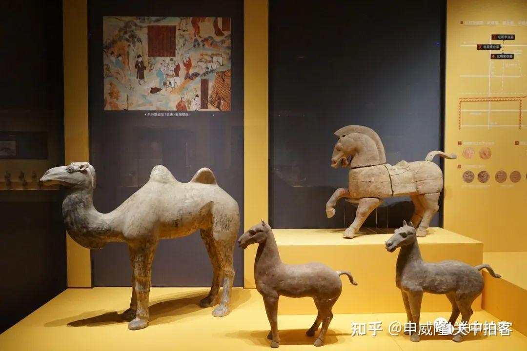 走进西安博物院:看古代陶俑与绘画交相辉映 - 知乎