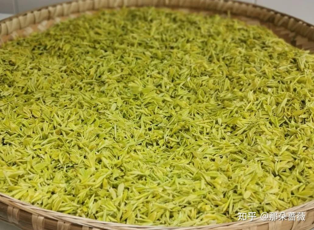 茶——中国六大茶类知识(收藏版)黄茶 - 知乎