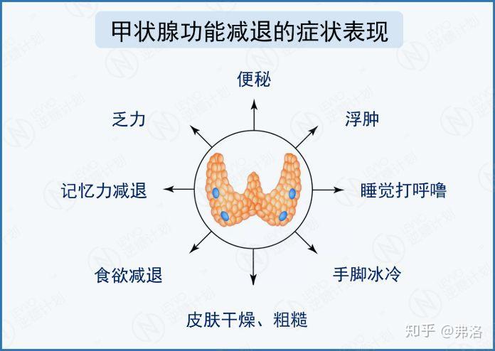 03甲状腺功能减退会有哪些危害?