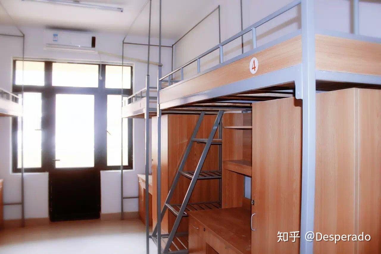 在上海建桥学院就读是什么样的体验